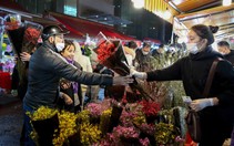 Hình ảnh chợ hoa lớn nhất miền Bắc luôn đông nghịt người mua sắm từ tối tới nửa đêm