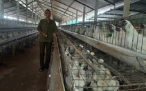 Những lão nông kiếm tiền tỷ ở Tiền Giang