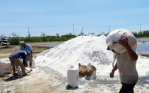 Diêm dân làng muối Cần Giờ mong có hướng bền vững để giữ nghề làm muối