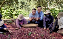 Chiêu “bán lược cho sư” của ông chủ cà phê nông sản