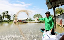 Một ông nông dân An Giang 20 năm nuôi cá tra lấy lãi lập quỹ từ thiện gia đình giúp hộ nghèo