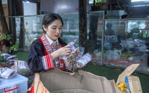 Sinh viên dân tộc Dao tích cực tham gia hoạt động thiện nguyện