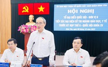 TP.HCM: Cử tri giáo viên, y tế mong mỏi có cuộc sống tốt hơn