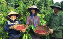 Việt Nam góp phần tạo nên thương hiệu thực phẩm giá trị nhất thế giới 