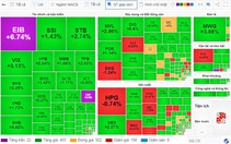 Nhóm "cổ phiếu vua" kéo thị trường, VN-Index tăng hơn 11 điểm