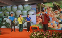 Nông dân TP.HCM đưa "Nông sản thời công nghệ số" vào sân khấu 