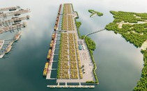 Kết hợp Cảng Cái Mép và Cần Giờ để cạnh tranh với các trung tâm logistics thế giới