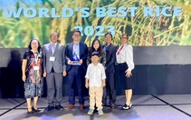 Lần thứ 2 gạo Ông Cua ST25 đạt giải Nhất Hội thi Gạo ngon nhất thế giới