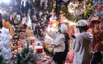 Con đường Giáng sinh lớn nhất Sài Gòn đã “lên đồ”, khách tấp nập mua thông về chơi Noel sớm