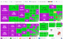 Dòng tiền "cá mập" đổ vào thị trường trong phiên chiều, VN-Index bật tăng hơn 33 điểm