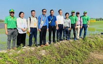  Bình Điền đóng góp ý tưởng cho đề án một triệu ha chuyên canh lúa chất lượng cao
