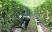 Được đào tạo nghề, nông dân Điện Biên Đông có "cần câu cơm"