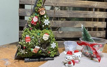 “Hô biến” rêu thành cây thông Noel, chàng trai 9x kiếm cả trăm triệu mùa Giáng sinh này