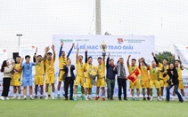 Hình ảnh Lễ bế mạc Giải bóng đá Báo Nông thôn Ngày nay/Dân Việt năm 2023