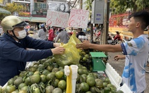 Cam sành rớt giá thê thảm tại các chợ ở Sài Gòn, đổ đống chỉ vài nghìn một ký 