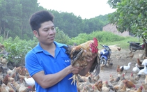 Quảng Ninh về đích "giảm nghèo bền vững" sớm 3 năm, một TP, một thị xã và 2 huyện không còn hộ nghèo