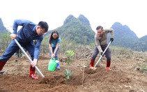 Ảnh: Toàn cảnh lễ trồng cây trao sinh kế cho nông dân Lạng Sơn