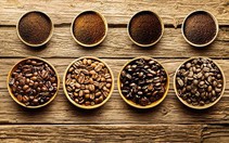 Tìm giải pháp tăng giá trị cho cà phê Buôn Ma Thuột