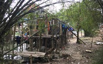 Nghệ An: Giữa lòng thành phố ồn ào, có một xóm vạn chài với đời lênh đênh trên dòng sông Vinh