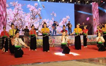 Điện Biên: Đặc sắc chương trình diễu hành văn hóa đường phố “Rực rỡ đêm hội hoa Ban” 