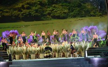 Điện Biên: Khai mạc lễ hội Hoa Ban 2023- "Hương sắc miền Tây Bắc"