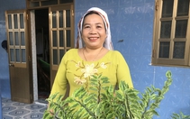 Một phụ nữ Chăm mộ đạo Bàni ở Bình Thuận, đảm việc nhà, giỏi việc "hàng tổng"