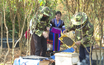 Đây là kiểu chăn nuôi không tốn tiền mua thức ăn, giúp thanh niên dân tộc thiểu số Lai Châu thoát nghèo