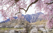 Thiên đường hoa rực rỡ, nên thơ giữa thung lũng Hunza
