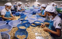 Định hướng phát triển ngành chế biến lương thực - thực phẩm bền vững
