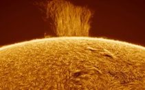 Dòng thác plasma đổ xuống Mặt Trời cao gấp 8 lần Trái Đất