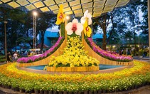 Festival Hoa Lan thành phố Hồ Chí Minh lần II, năm 2023