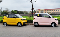 Ôtô điện mini Trung Quốc xuất hiện tại Việt Nam, sắp  bán ra thị trường