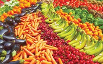 VFAEA: Thúc đẩy tiêu thụ nông sản qua các kênh bán sỉ