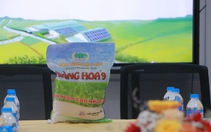 Tập đoàn Lộc Trời trở thành chủ nhân của giống lúa Nàng Hoa 9 