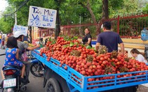 Vải thiều nhuộm đỏ chợ Sài Gòn, giá chỉ 30.000 đồng/kg