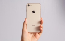 iPhone 8, 8 Plus và X có thể mất hơn 40% giá trị