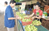 Hoa quả Sơn La rộn ràng xuống phố