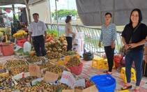 TP.HCM khai mạc tuần lễ trái cây “Trên bến dưới thuyền”