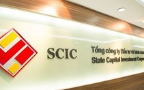 SCIC thoái vốn ở đơn vị mai táng, doanh nghiệp chia thưởng cổ phiếu tới 180%