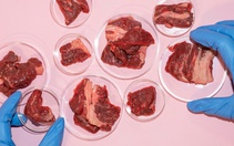 Phê duyệt loại thịt đầu tiên nuôi trong phòng thí nghiệm