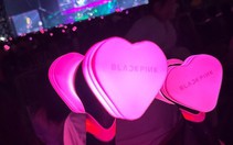 Fan BlackPink tại Hà Nội sôi sục lùng mua lightstick "búa hồng"