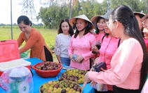 Về Củ Chi hái măng cụt, chôm chôm mùa "Hoa thơm trái ngọt"