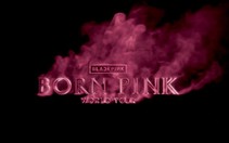 Chưa mở bán vé nhưng nhiều nhãn hàng "hứa hẹn" cho chơi game trúng vé xem BlackPink