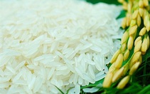 Xây dựng thương hiệu cho hạt gạo Việt Nam