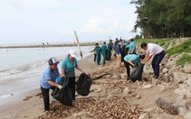 Người dân Cần Giờ dọn rác thải biển, chung tay xây dựng đô thị văn minh