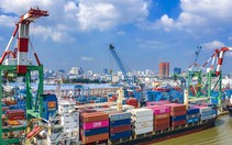 Chi phí vận chuyển container Bắc - Nam đắt gấp đôi đi Mỹ