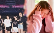 Ôm vé Blackpink: Người bán nợ nần, người mua gặp lừa đảo