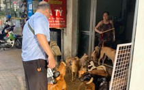 Sở gửi công văn đến Bộ Nông nghiệp đề nghị hỗ trợ xử lý hộ dân nuôi gần 100 con chó 