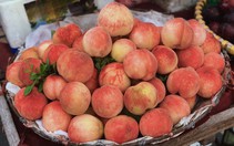 Hoa quả Trung Quốc ngập chợ Hà Nội, có loại khoe đắt nhất thế giới