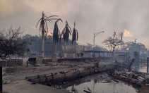 Cận cảnh cháy rừng chưa từng có ở Hawaii, hàng chục người thiệt mạng